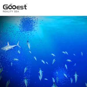 Aire <span class=keywords><strong>de</strong></span> jeux pour enfants intérieur interactif Aquarium thème <span class=keywords><strong>jeu</strong></span> jouer parc jeux d'intérieur système <span class=keywords><strong>de</strong></span> Projection interactif <span class=keywords><strong>cuisine</strong></span> Piano - Product Image 5