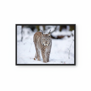 Lynx Cat Tempered Glass Wall Art: Printed <b>Canvas</b> Winter Animal Decor,BLACK <b>FRAMED</b> <b>CANVAS</b> - Product Image 2