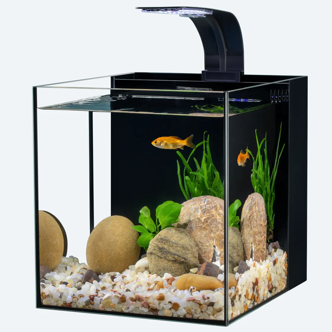 Mini-Glas-Aquarium Fischaquarium ökologische Aquarien mit Rückfilter Aquarium Großhandel ultraweißes Glas Fischtank