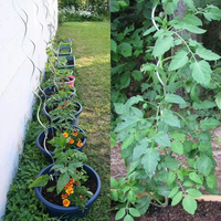 Support en fer spirale pour plantes, mini structure pour tomates et fleurs, treillis de grimpement pour pots