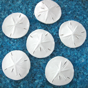 Moneda de mar de resina de 6CM para decoración de Acuario, pecera mediterránea simulada, decoración del hogar, piezas colgantes de adornos de micropaisaje - Product Image 3