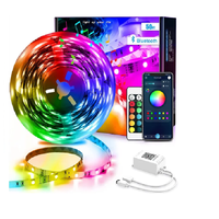 Bande LED RGBIC 5V à télécommande IP68, 10 m, 100 LED/ensemble, avec emballage en boîte couleur, vente chaude