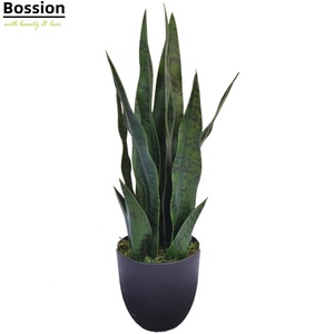 <span class=keywords><strong>Planta</strong></span> Artificial Bossion Nearly Natural, <span class=keywords><strong>Planta</strong></span> Falsa con <span class=keywords><strong>Maceta</strong></span>, Sansevieria, <span class=keywords><strong>Planta</strong></span> Serpiente Artificial - Product Image 1