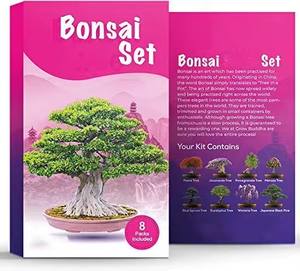 ชุดปลูกต้นบอนไซขนาดเล็ก8ต้นมีตราสินค้าสำหรับสวนของขวัญคริสต์มาส - Product Image 4