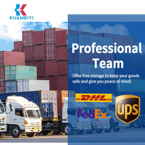 Professionele Air Express Internationale Expediteur Ddp Deur-Tot-Deur Logistieke Diensten Air + Express Expediteur - Product Image 3