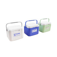 Glacière isotherme portable vintage en plastique rigide pour pique-nique, poisson et glace, 5L, accessoires de camping