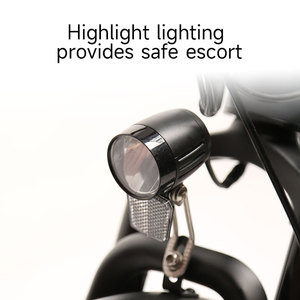 Nouveau design de vélo électrique TXED vélo de ville électrique à batterie au lithium de 13Ah - Product Image 4