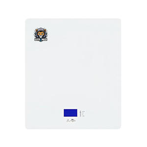 Système de stockage domestique mural à batterie lithium <span class=keywords><strong>rechargeable</strong></span> à bon <span class=keywords><strong>prix</strong></span> pour voiturettes de <span class=keywords><strong>golf</strong></span>, camping-cars et chariots élévateurs électriques - Product Image 1