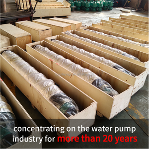 <span class=keywords><strong>Pompe</strong></span> de dragage centrifuge verticale submersible électrique triphasée multi-étages haute pression pour <span class=keywords><strong>eaux</strong></span> usées de <span class=keywords><strong>surface</strong></span>, piscine et étang - Product Image 6