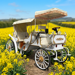 Fabricant populaire de chariots de luxe pour l'extérieur, chariot de mariage, wagon de tourisme, buggy électrique sans chevaux à vendre - Product Image 1