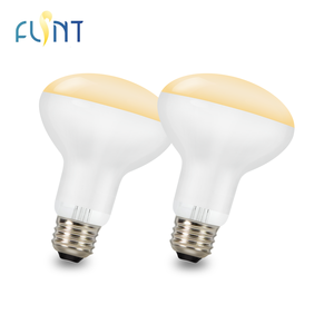 Bombilla de Lámpara de Calor para Reptiles R80 de Fábrica, 75 W, 350 lm, Base E26, Luz de Calentamiento para Terrario, Tortuga, Lagarto, Cuidado Uniforme y Cálido - Product Image 1