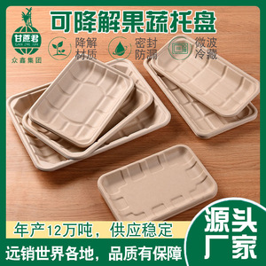 Bandejas rectangulares desechables biodegradables de pulpa de papel para catering, frutas, verduras y carne - Product Image 5