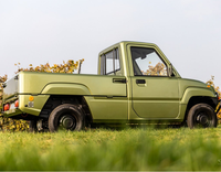 Mini véhicule électrique quatre roues à énergie nouvelle pour le transport de passagers, certifié EEC, camion LSV à panneaux