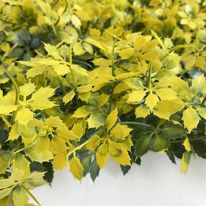 Murs grimpants artificiels en bois de boho, fausses plantes en escalade, mur de plantes à légumes - Product Image 5