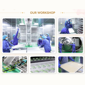 Alimento <span class=keywords><strong>para</strong></span> Peces al por Mayor, Krill Antártico Liofilizado, Krill Seco, Alimento <span class=keywords><strong>para</strong></span> Peces de Acuario <span class=keywords><strong>para</strong></span> Peces Tropicales, Pez Ángel, Guppy, Pez Loro - Product Image 3