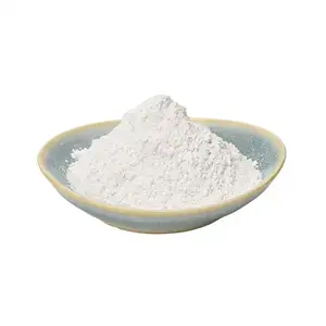 Vente en gros de carbonate de calcium précipité fournisseur de produits chimiques au Vietnam