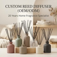 Diffuseur de parfum en bouteille de plastique écologique de luxe, style Noël, parfum personnalisé avec une qualité de fragrance de classe mondiale, en gros