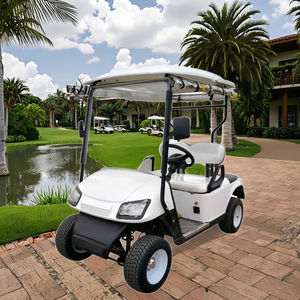 Voiturette de golf électrique 2 places sur mesure pour fabricants, haute qualité et promotionnelle, très demandée pour les terrains non publics - Product Image 1
