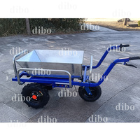 Equipo de Manipulación de Materiales de Construcción, Carretilla Transportadora de Alta Potencia para Huertos, Carretilla Eléctrica de Plomo-Ácido