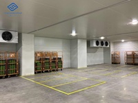 Leverancier van op maat gemaakte zonne-aangedreven koelcellen met motor & pomp luchtgekoelde koelmachine voor vlees- en groentebewaring, eenvoudige bediening