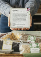 Kit de Iniciación a las Hierbas con 24 Recetas y 14 Monografías de Plantas para Estudiantes