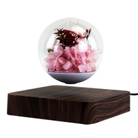 Cadeaux romantiques Lévitation magnétique Fleur Lumière Flottant Affichage LED Petite Veilleuse