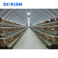 Mise en page de conception entièrement automatisée pour l'élevage de poulets de chair de poulet de couche au Pakistan