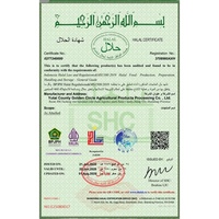 Approvisionnement en gros usine Halal 100% Naturel Granulés de sallouette croustillante et poudre d'oignon, Assaisonnement pour nouilles destiné à la transformation alimentaire mondiale