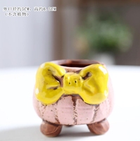 Nouveau dessin animé mignon arc succulent pot de fleur en céramique personnalité créative pot de fleur peinture respirante