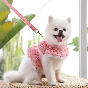 Gugou <b>Dog</b> Cat Harness Floral Print Adjustable Breathable Washable Small Medium Pet Clothes <b>Leash</b> Set - Product Image 3