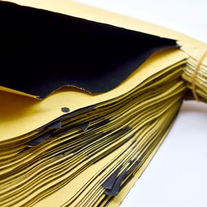 Bolsa <span class=keywords><strong>de</strong></span> cultivo <span class=keywords><strong>de</strong></span> frutas biodegradable <span class=keywords><strong>de</strong></span> papel especial Impresión offset recubierta <span class=keywords><strong>de</strong></span> un solo lado Compatible para uso en árboles - Product Image 5