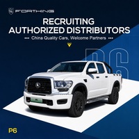 Nouveau véhicule utilitaire électrique P6 tout-terrain RHD pour distributeurs mondiaux et transport utilitaire