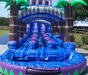 巨大な屋外大人のエンターテインメントパーティージャンプ城ウォータースライド弾むゲームインフレータブルトロピカルウォータースライド - Product Image 3