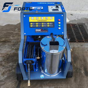 Idropulitrice Industriale ad Acqua Calda 250 Bar, Pulitore ad Alta Pressione 10kW 13HP con Motore a Benzina - Product Image 4