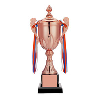 Trophée en métal de sport Plastique plaqué or et fer pour les cadeaux de salon automobile