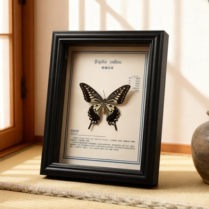 Marco de exhibición de especímenes de mariposas estilo europeo, caja de exhibición de flores y insectos secos con vidrio real para decoración de pared. - Product Image 2