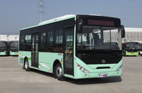 Bus urbain électrique Dongfeng neuf de 12 mètres pour 65 personnes, 30 sièges, plancher bas, conduite à gauche, Euro 5, automatique