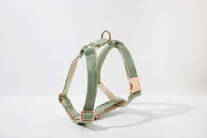 Correa de perro de pana verde salvia. Paso para niña perro. Cachorro con lazo personalizado. Conjunto de arnés y correa para collar de perro - Product Image 2