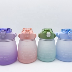 OEM Sevice Factory Price cheap plastic water bottles motivational hot water bottle