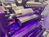 Volledig servo-aangedreven 8-kleuren rol-tot-rol sticker- en etiketdrukmachine voor aluminiumfolie papier, bloemblaadjes-type