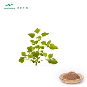 Personalizado barato 1%-5% Flavones Extracto de raíz de ortiga con precio a granel - Product Image 3