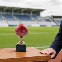 Trophée de cricket en résine en gros avec base en résine rouge et or antique 29,0 cm – Récompense de championnat de cricket
