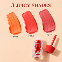 Ensemble de teintures à lèvres hydratantes colorées, teinte liquide légère effet eau, gloss à lèvres, maquillage, vente en gros, marque privée, OEM, ODM, teinture pour les lèvres
