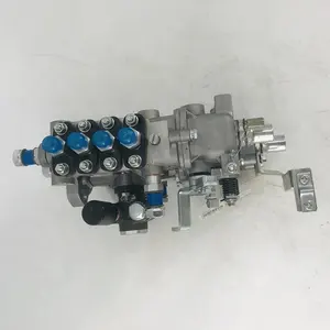 1000072489 Top Quality Best Price Injection Pump 1000072489 for Weichai diesel fuel engine