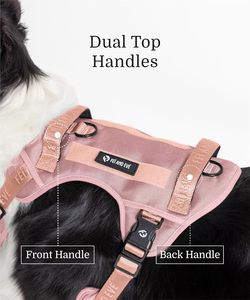 <span class=keywords><strong>Harness</strong></span> Anjing Klasik Fei Eve Edisi Baru 2025 |   Gesper Lepas Cepat |   Kontrol Tanpa Tarik 3-Titik |   Nilon 900D Tugas Berat - Product Image 5