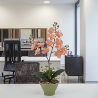Tizen Set tanaman Bonsai bunga buatan anggrek kupu-kupu kustom terbaru bunga anggrek Phalaenopsis sentuhan nyata