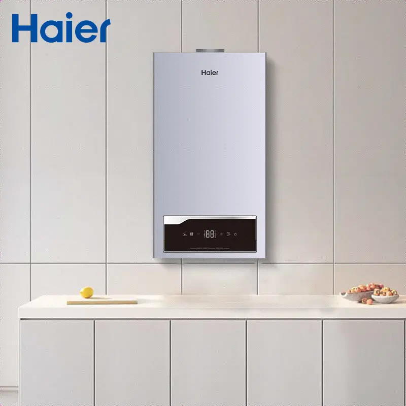 Proveedor de China Haier Precio al por mayor Máquina de vapor de gas natural montada en la pared Caldera de agua caliente