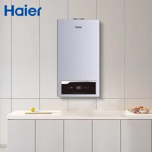 China Supplier Haier Wholesale Price Wall Mounted Natural Gas Fired Steam Machine Hot Water Boiler
