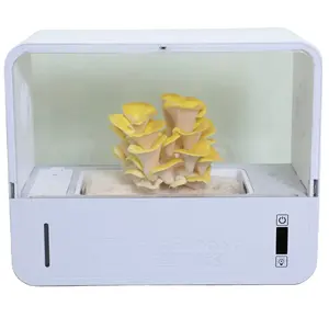 Kotak Kit penumbuh jamur murah