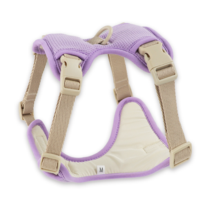 Aksesori hewan peliharaan kualitas tinggi, kalung hewan peliharaan kain wafel, rompi anjing jaring lembut, <span class=keywords><strong>Harness</strong></span> anjing Set untuk anjing dan anjing sedang - Product Image 2